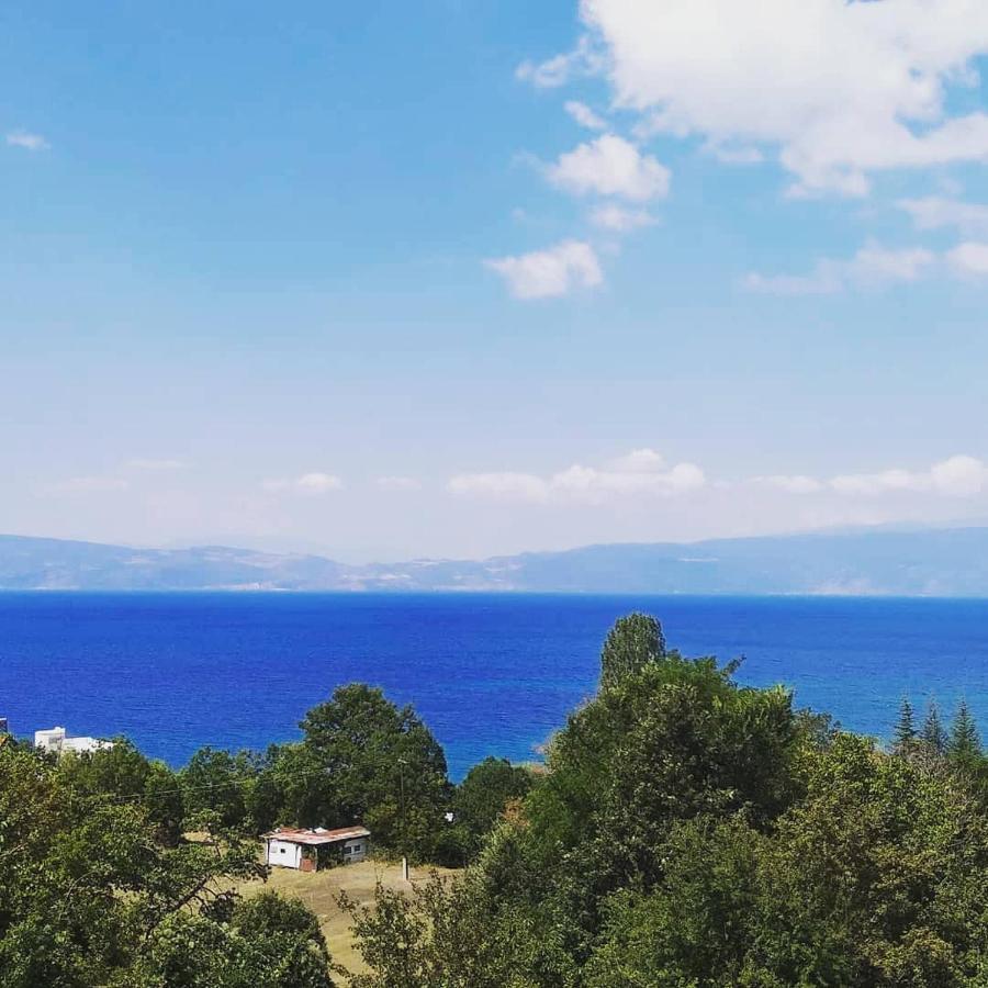 The Brothers Villa Hotel Ohrid Exterior photo