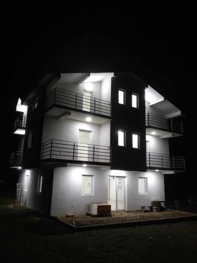 The Brothers Villa Hotel Ohrid Exterior photo