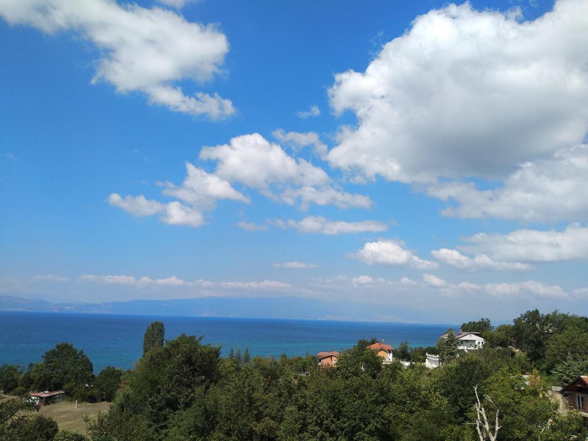 The Brothers Villa Hotel Ohrid Exterior photo