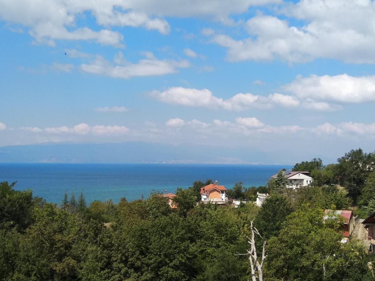 The Brothers Villa Hotel Ohrid Exterior photo