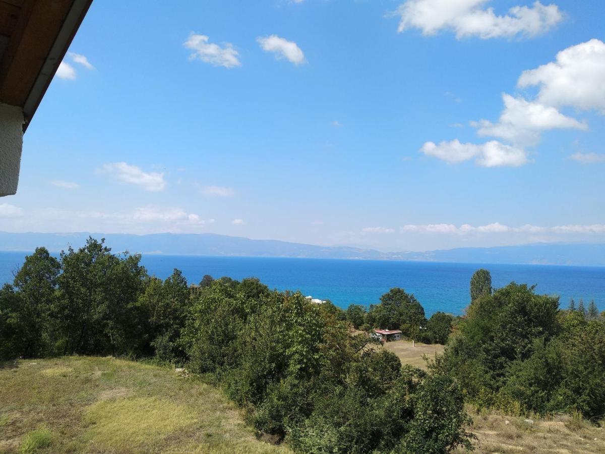 The Brothers Villa Hotel Ohrid Exterior photo