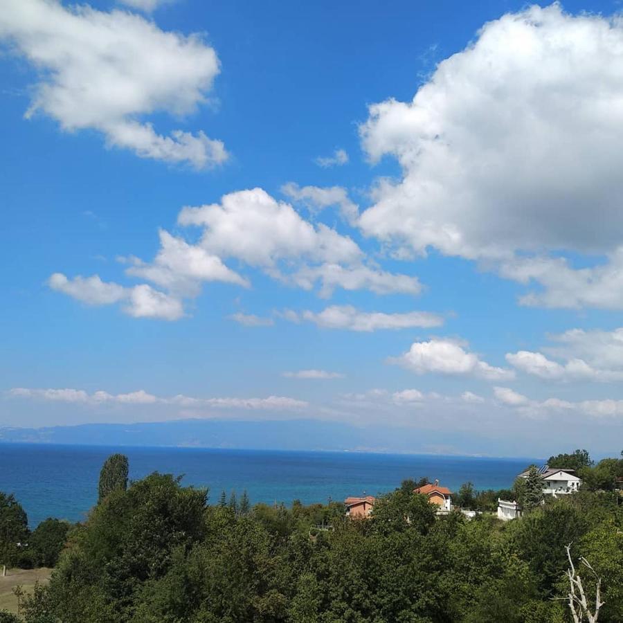 The Brothers Villa Hotel Ohrid Exterior photo